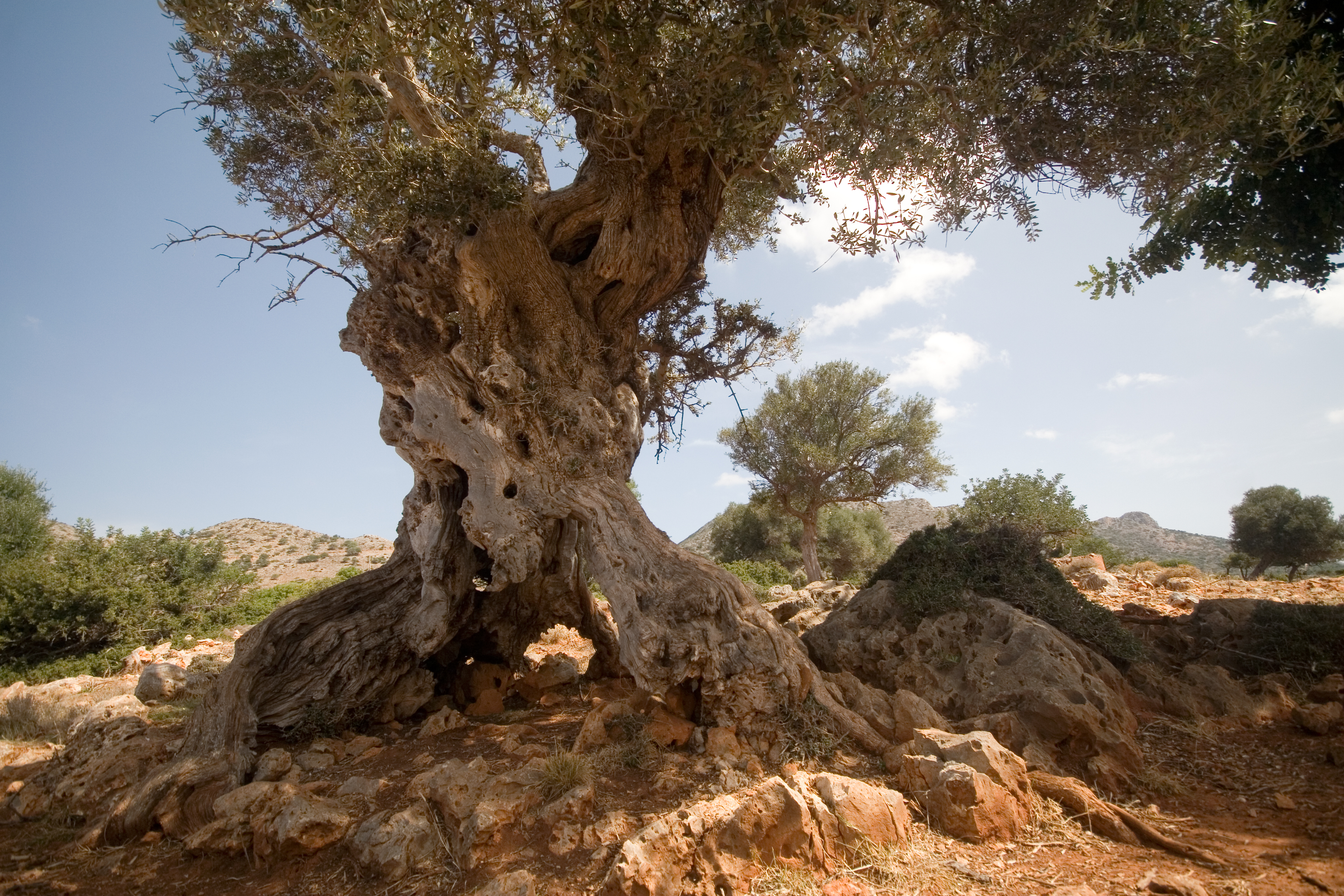 Kreta. Co warto zobaczyć?