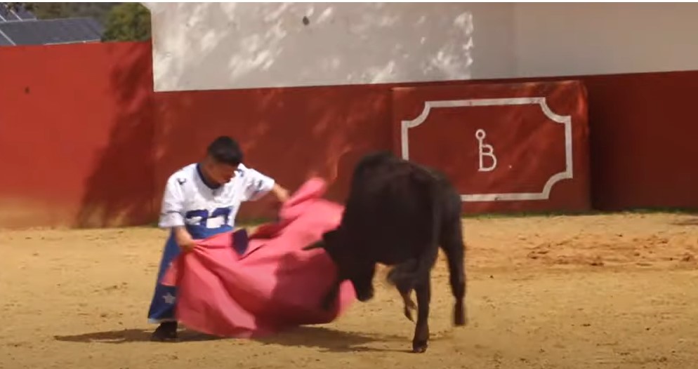 Kitiltották a spanyolok a törpe torreádorokat