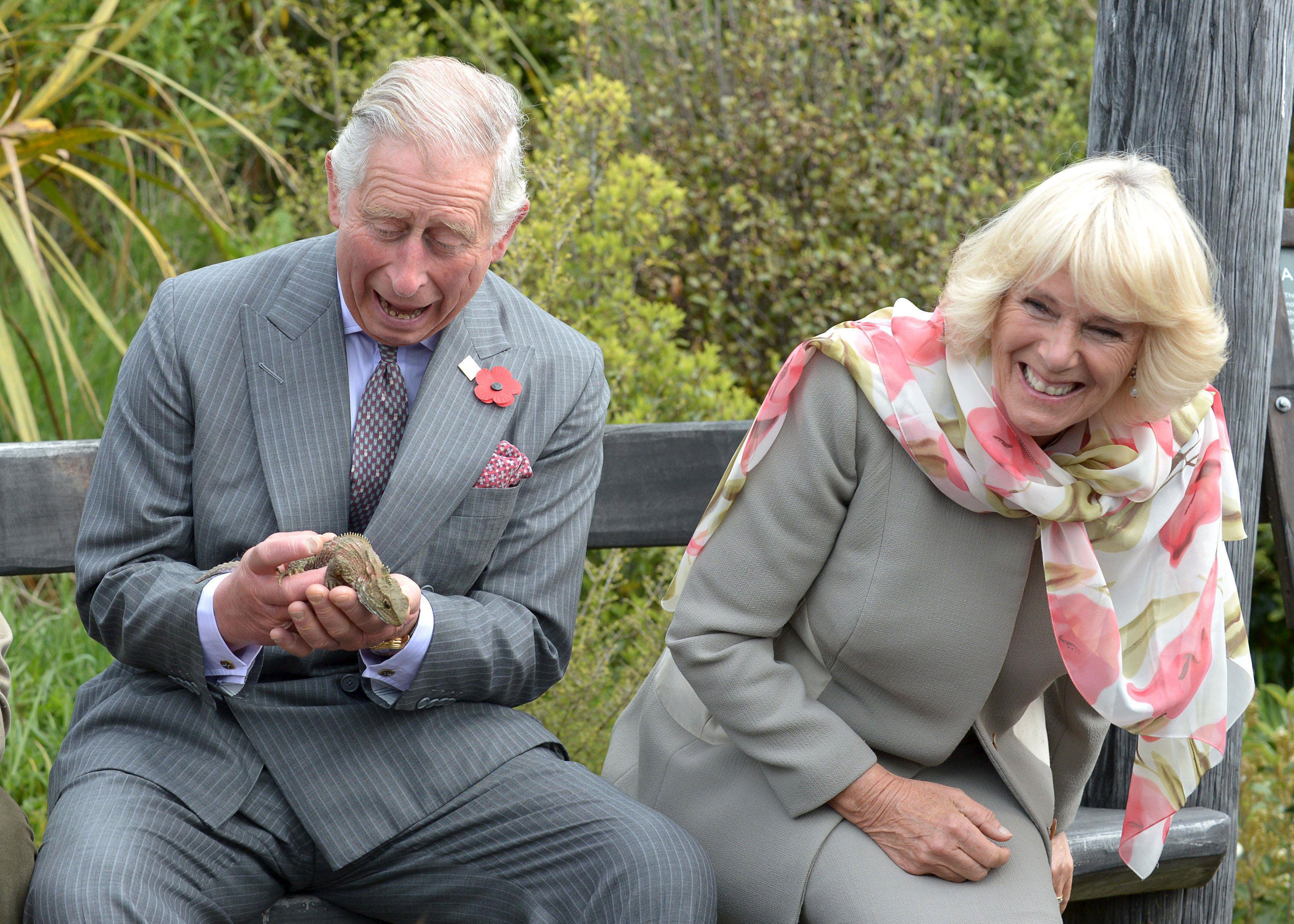 Britain's Prince Charles reacts after a large bumblebee briefly landed on the Prince's pants and fle