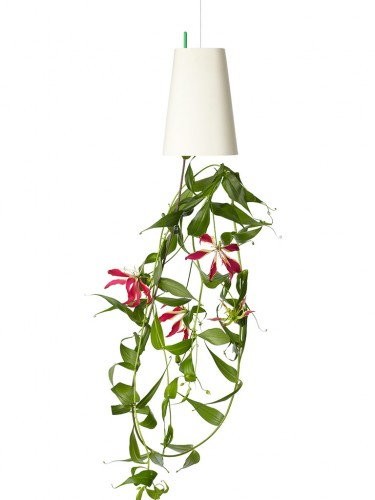 Sky Planter