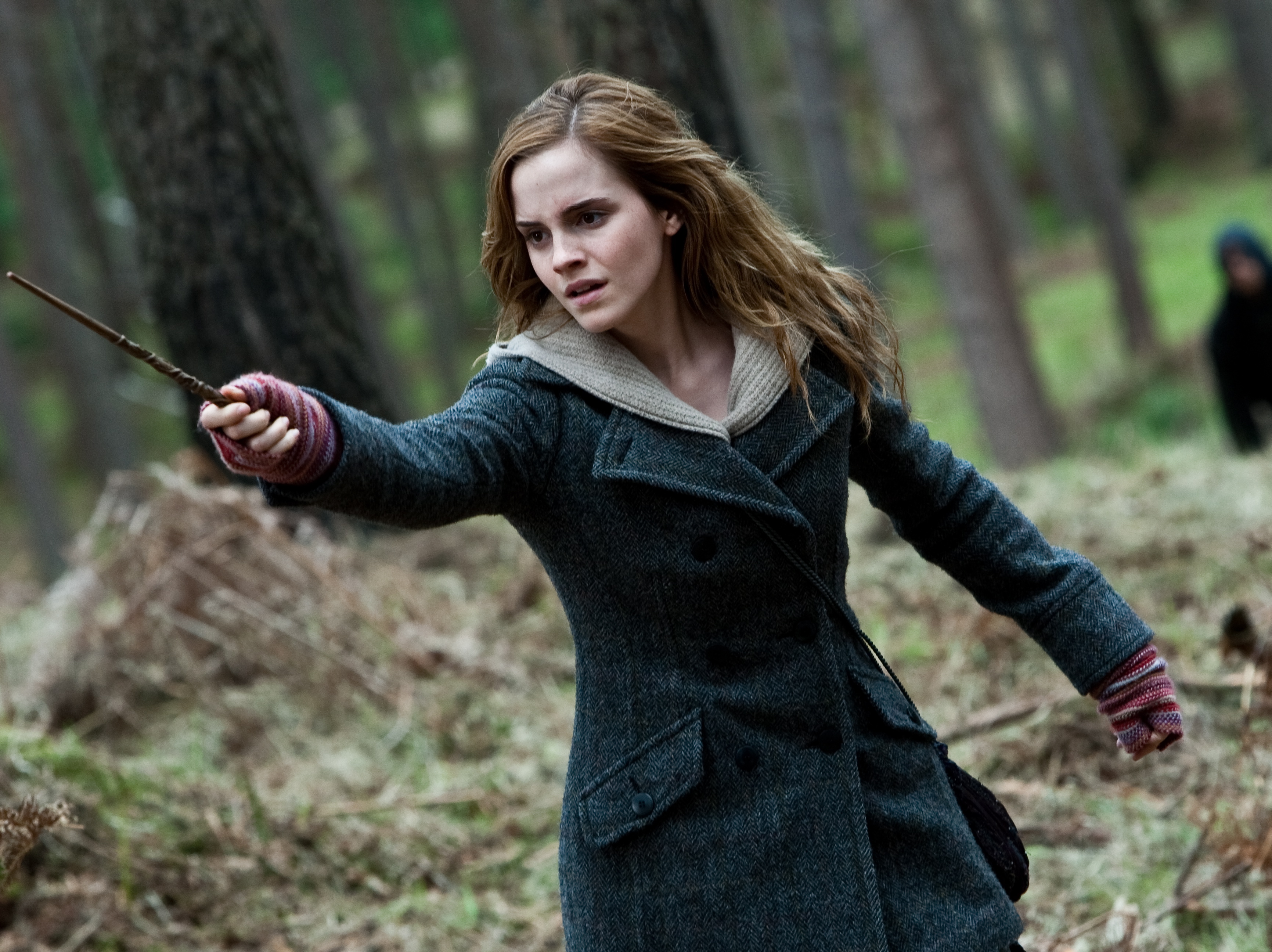 (C) 2010 WARNER BROS. ENTERTAINMENT INC. HARRY POTTER PUBLISHING RIGHTS (C) J.K.R.