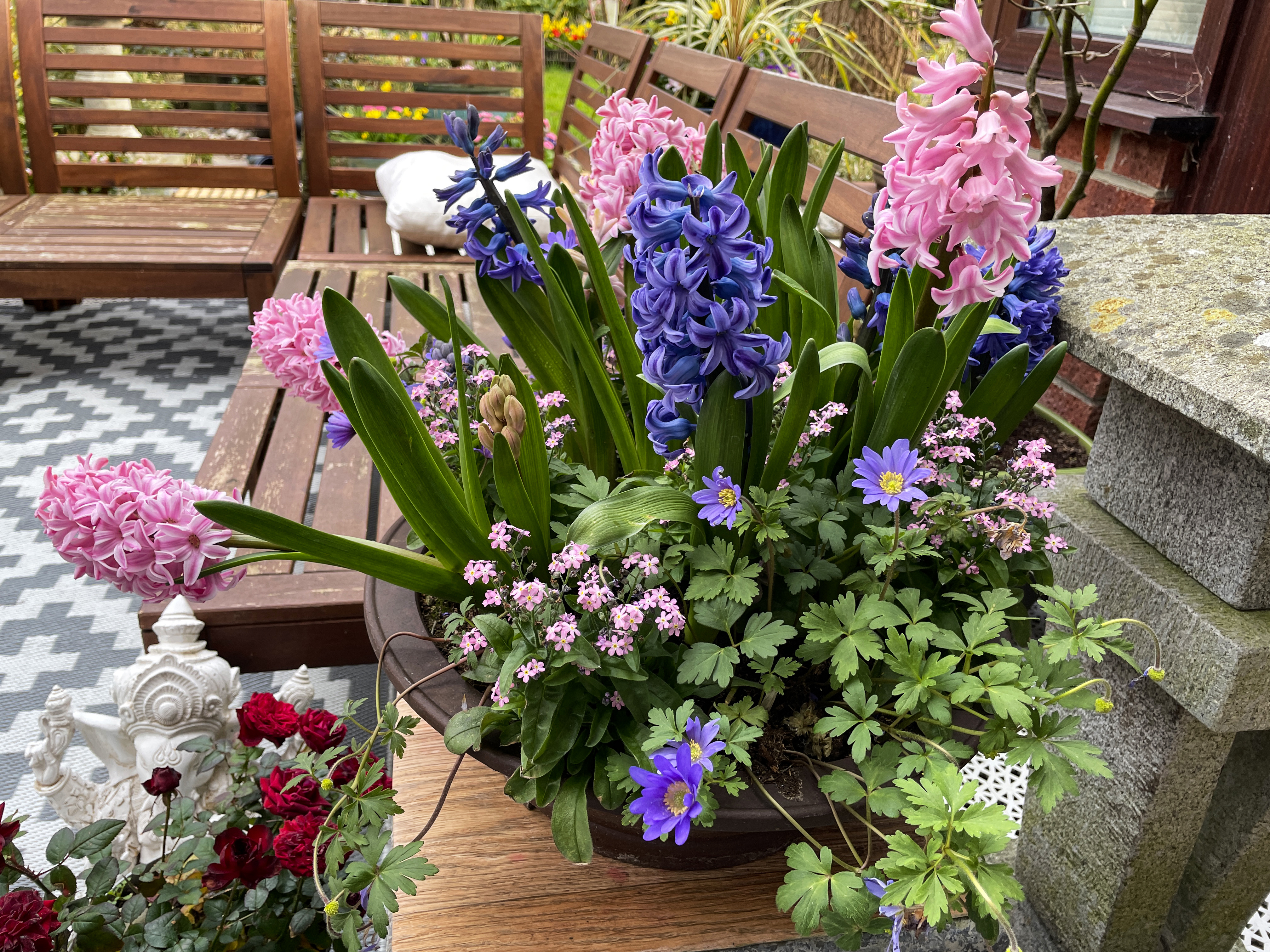 Vidd a tavaszt az otthonodba! Ezek a virágok már most beköltözhetnek az  erkélyedre - kiskegyed.hu