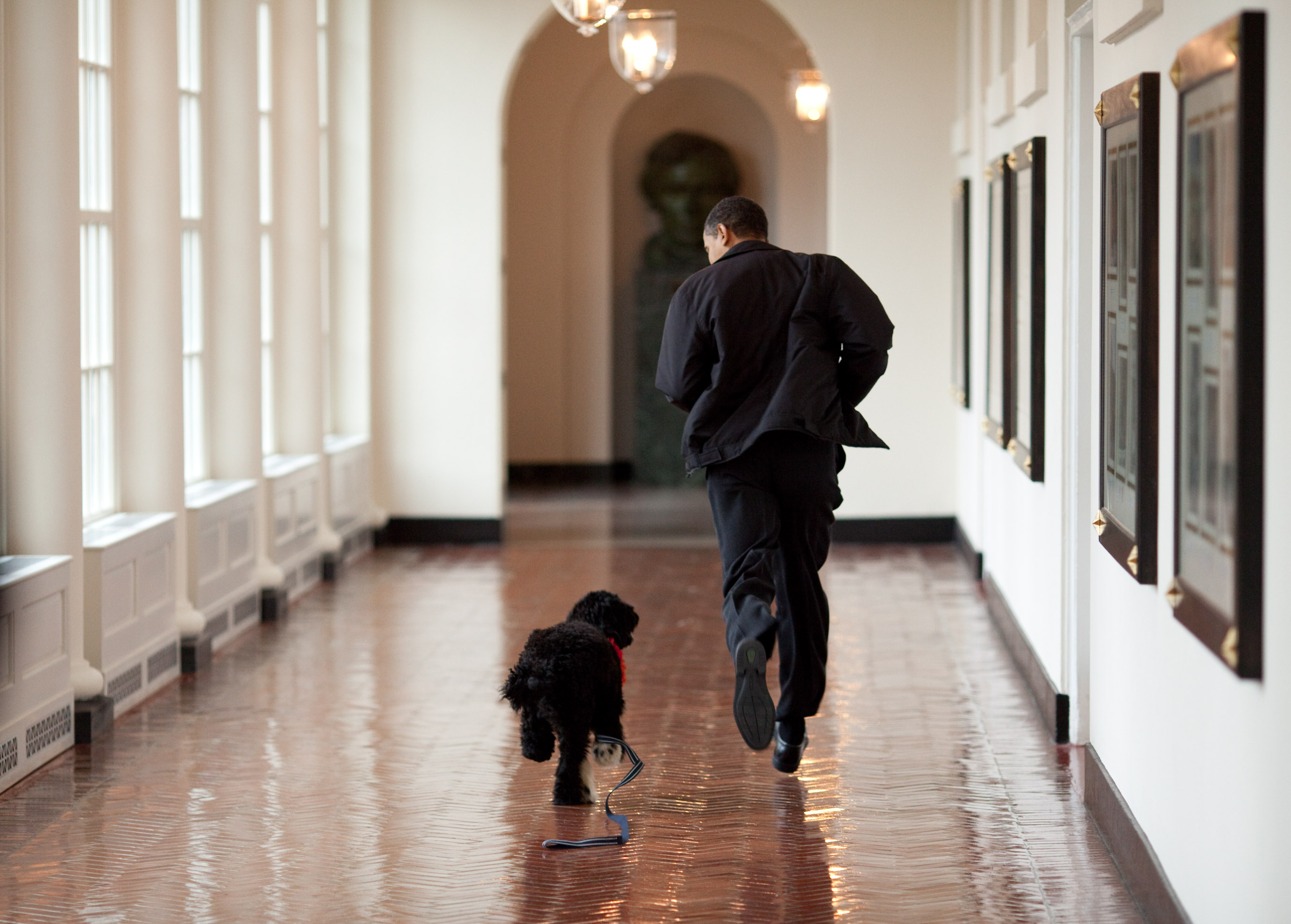 15 marca 2009 roku, Biały Dom. Obama zaprzyjaźnia się z nowym członkiem prezydenckiej rodziny. Pies ma na imię Bo