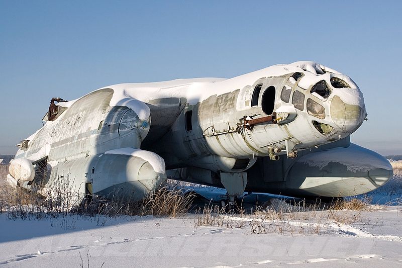 Bartini Beriev VVA-14