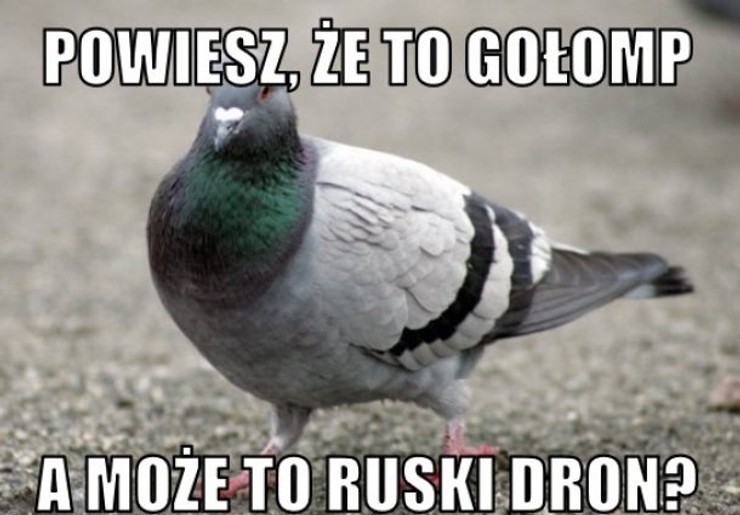 Obrazek