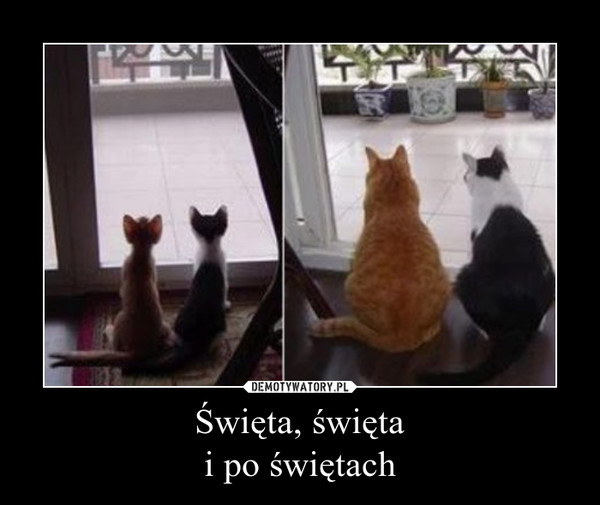 mem