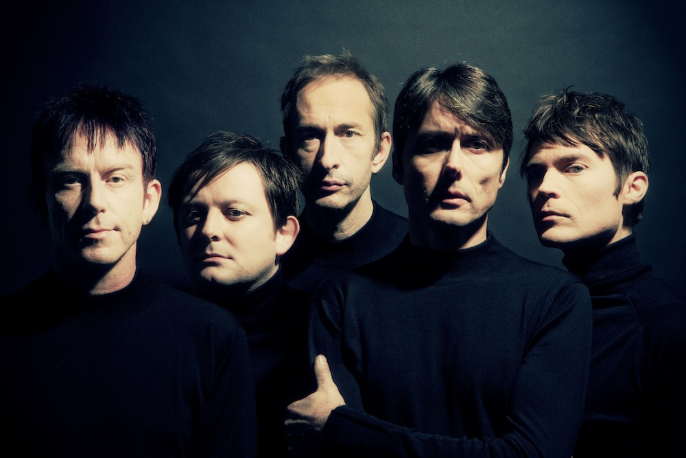 Suede na zdjęciach do