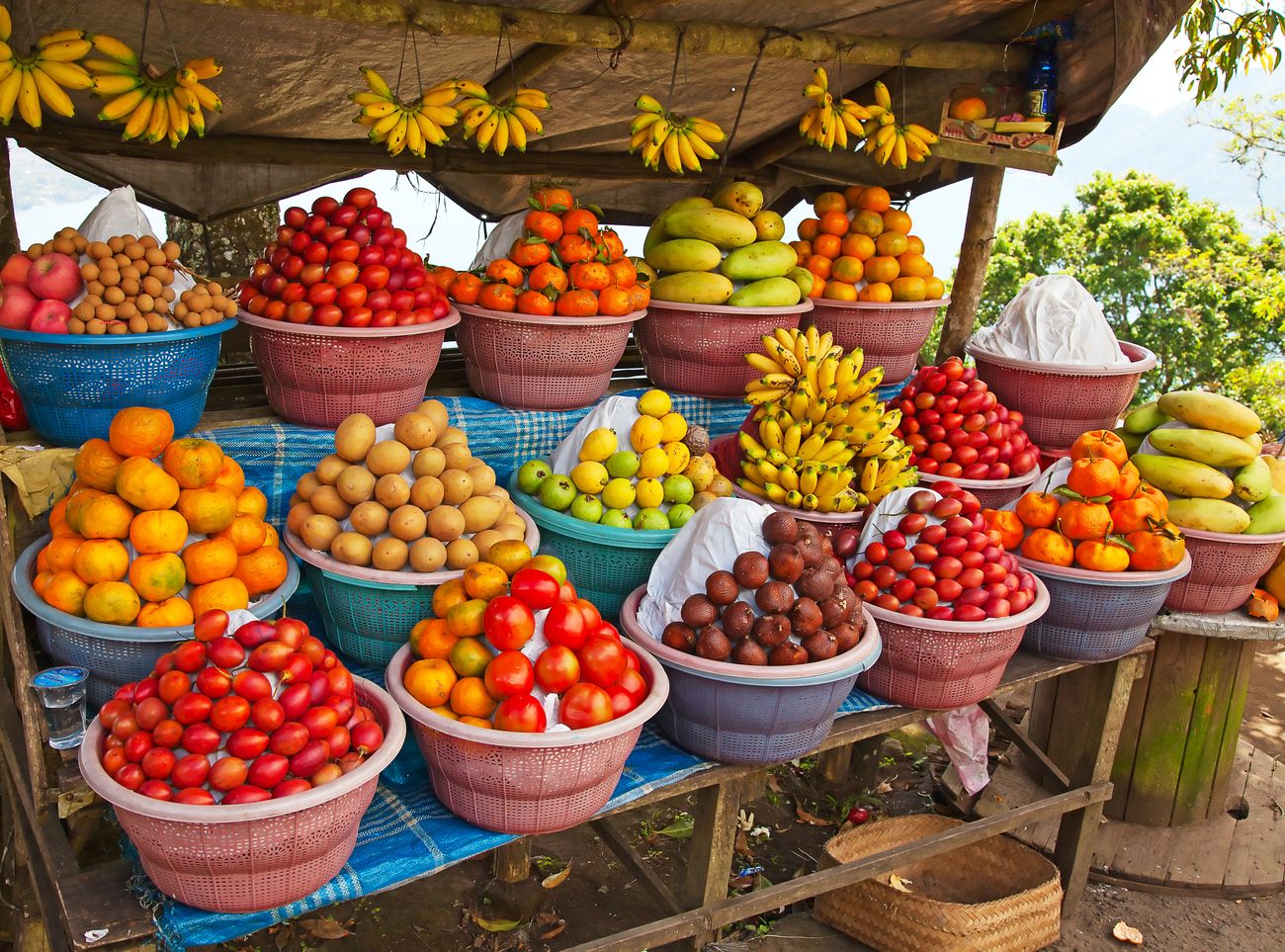Naturalne źródło witaminy C