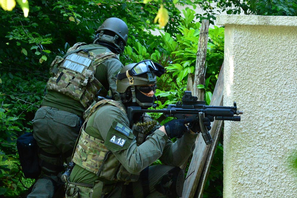European Union Police Services Training (EUPST)