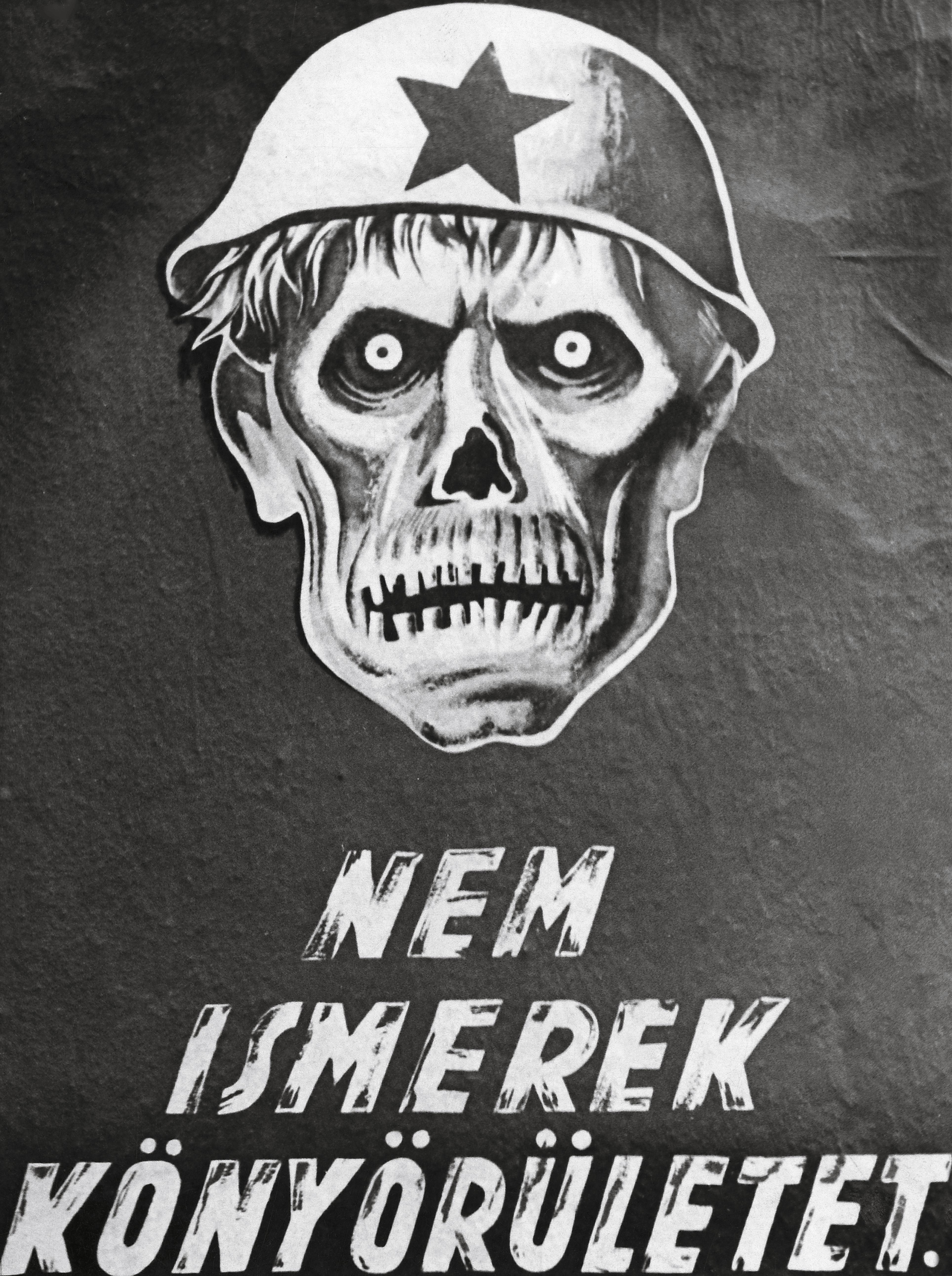 Rozpoczęcie okupacji Węgier przez Wehrmacht w marcu 1944 r. spotkało się ze znikomym oporem. Zarówno większość armii, jak i zwykli Węgrzy widzieli w Niemcach obrońców przed „nawałą ze wschodu”. Na zdjęciu plakat propagandowy z 1944 r.