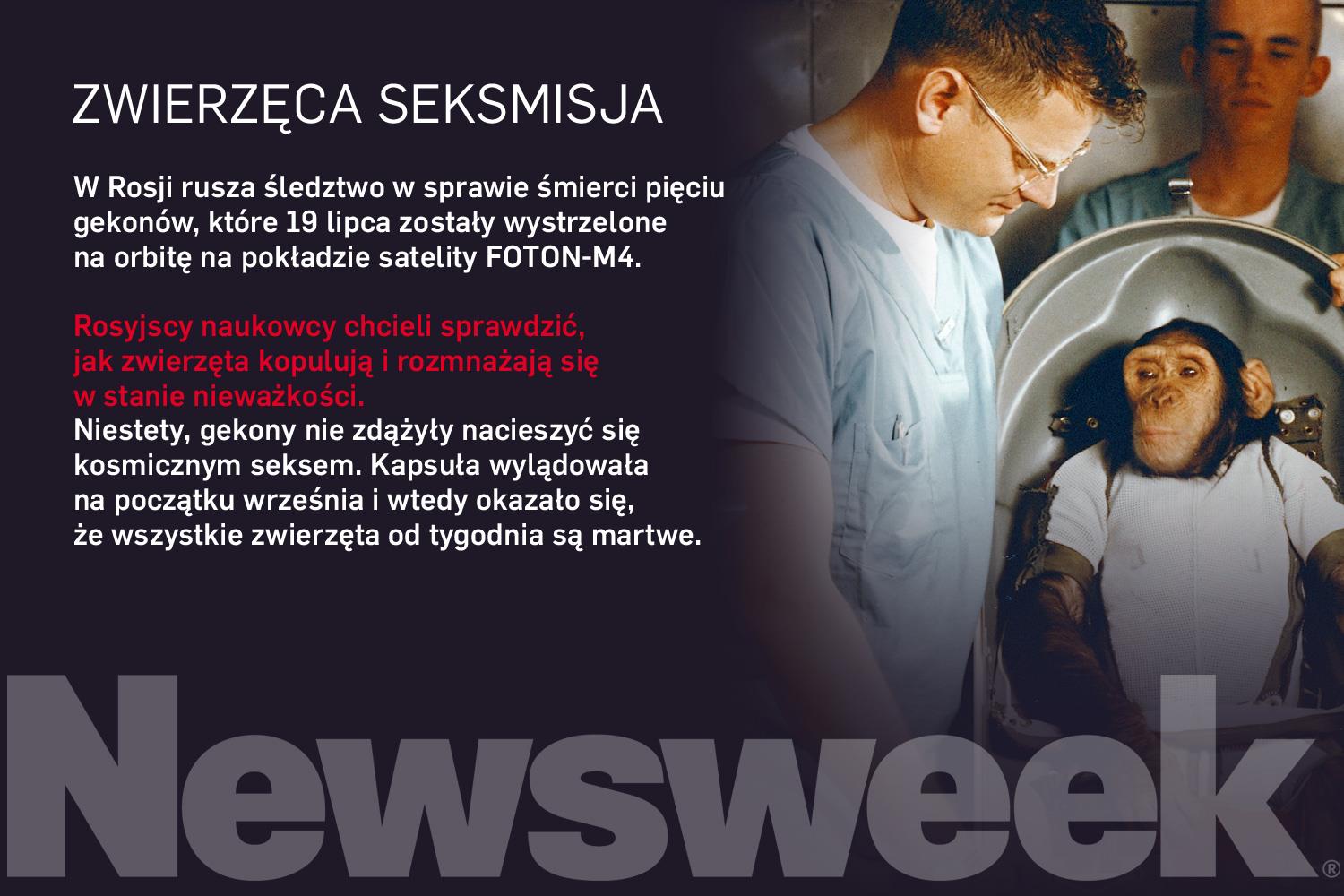 Newsweek 38/2014 galeria promo