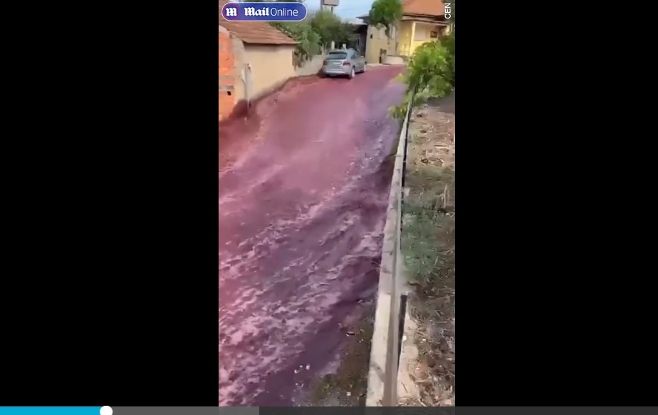Kétmillió liter vörösbor hömpölygött egy portugál kisváros utcáin