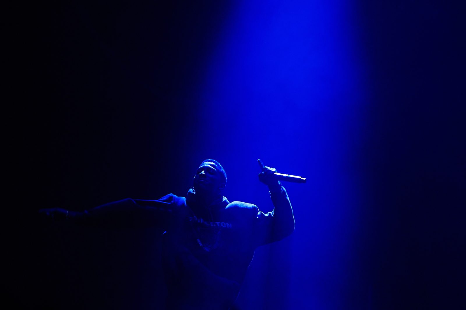 Earl Sweatshirt na Open'er Festival 2014