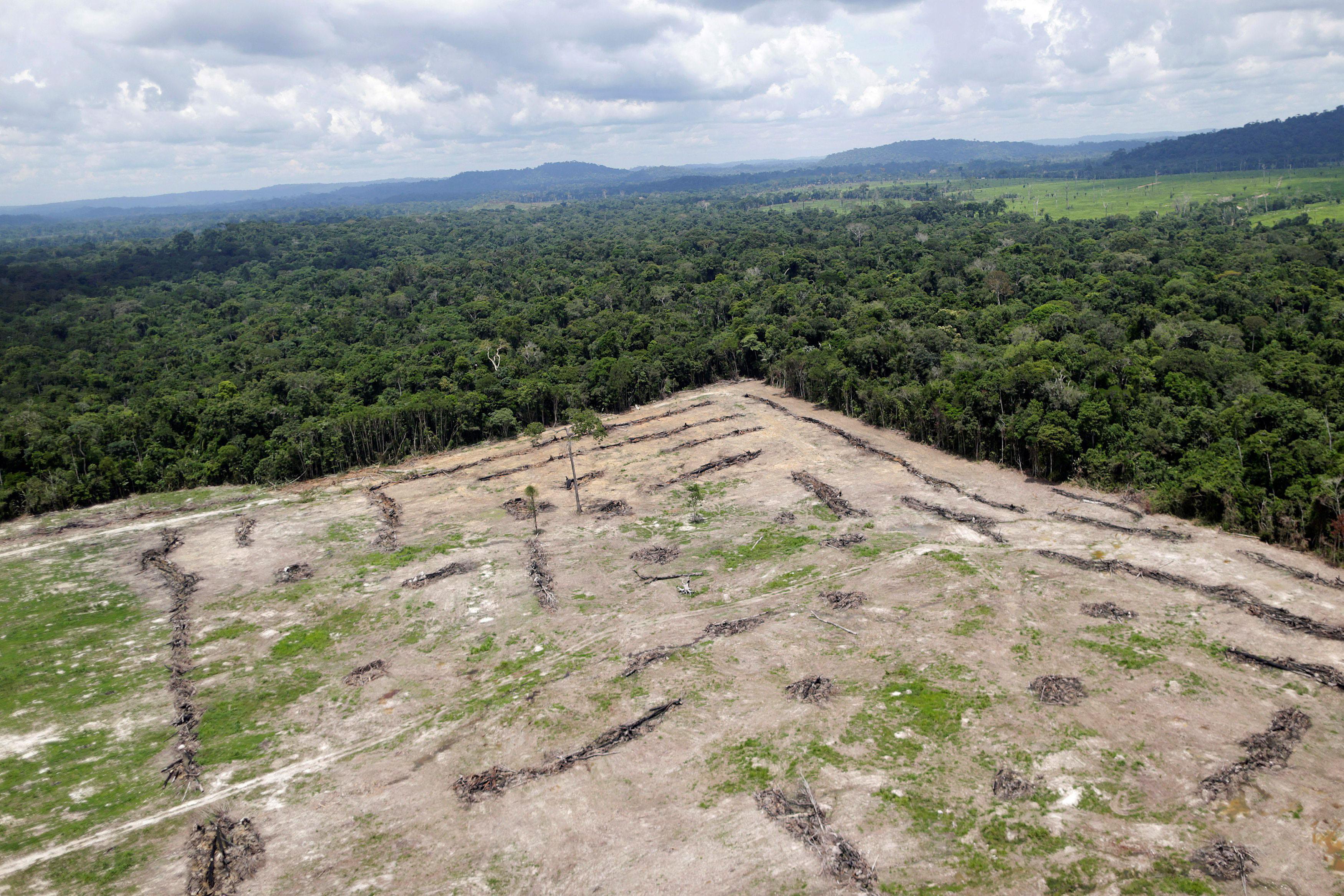 The Wider Image: Brazil's Amazon guardians