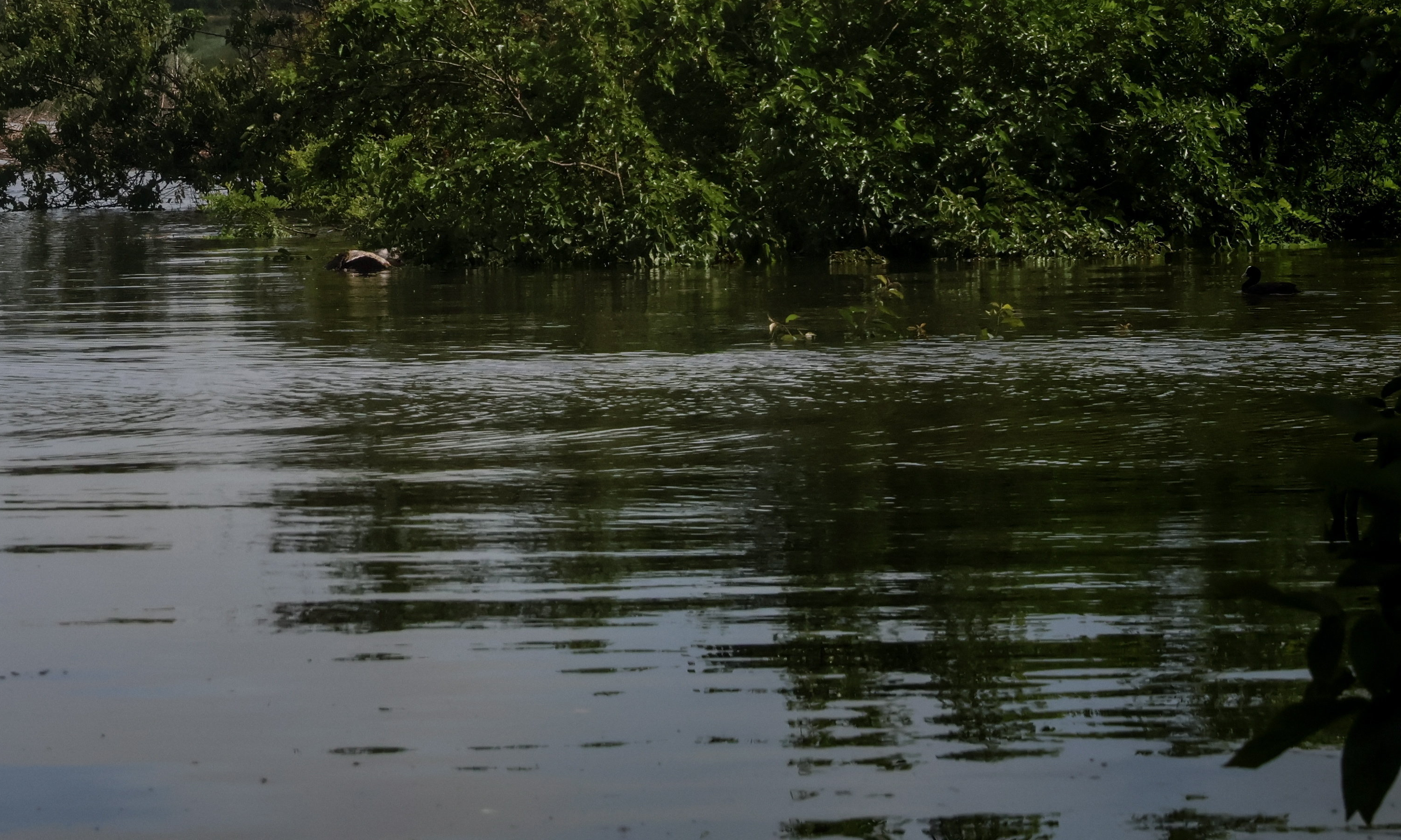 Óriási a baj: holtan került elő a vasárnap eltűnt 16 éves Bálint