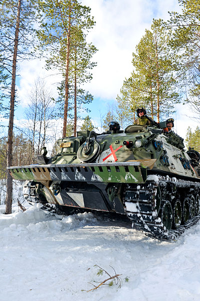 Bergepanzer 2
