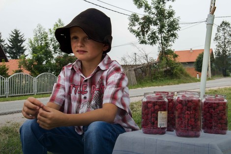 Vredni Jovanče: "Svi se zaustavljaju, kupuju maline, hoće da me daruju..."