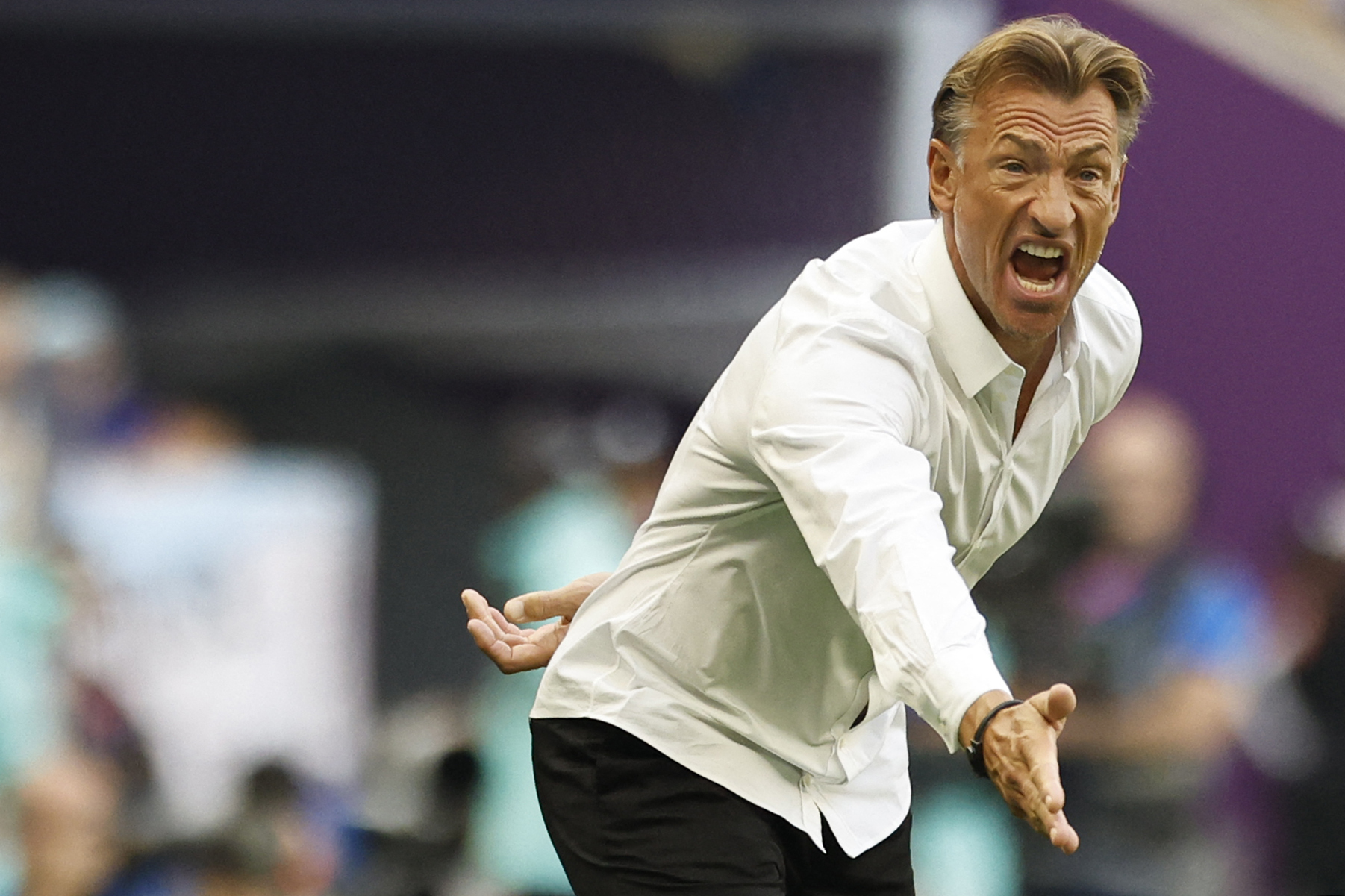 Mundial 2022. Herve Renard wskazał, dlaczego Arabia Saudyjska przegrała z  Polską ()