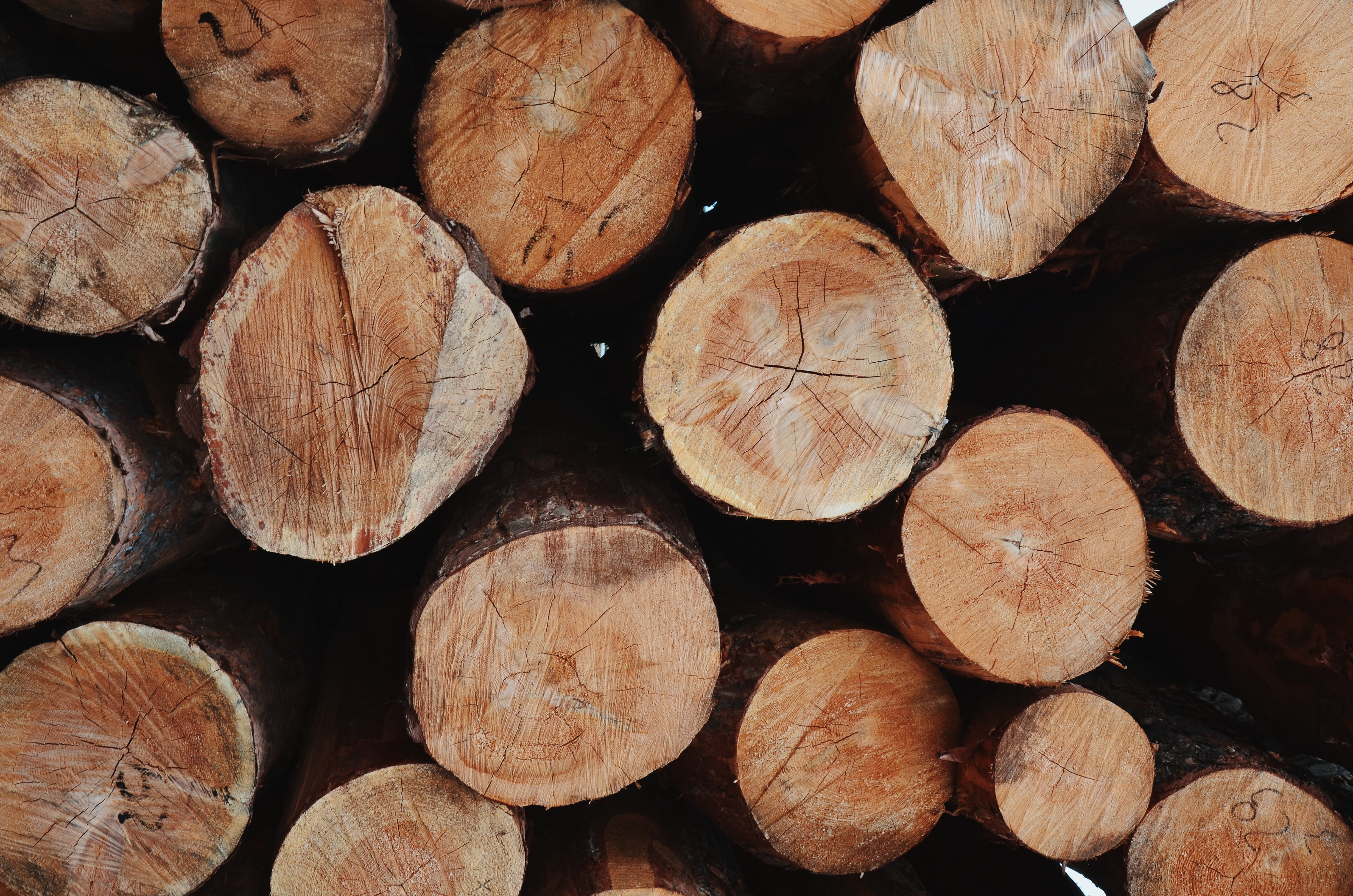 Vizsgálat indult a fa építőanyagok hazai piacán - Blikk