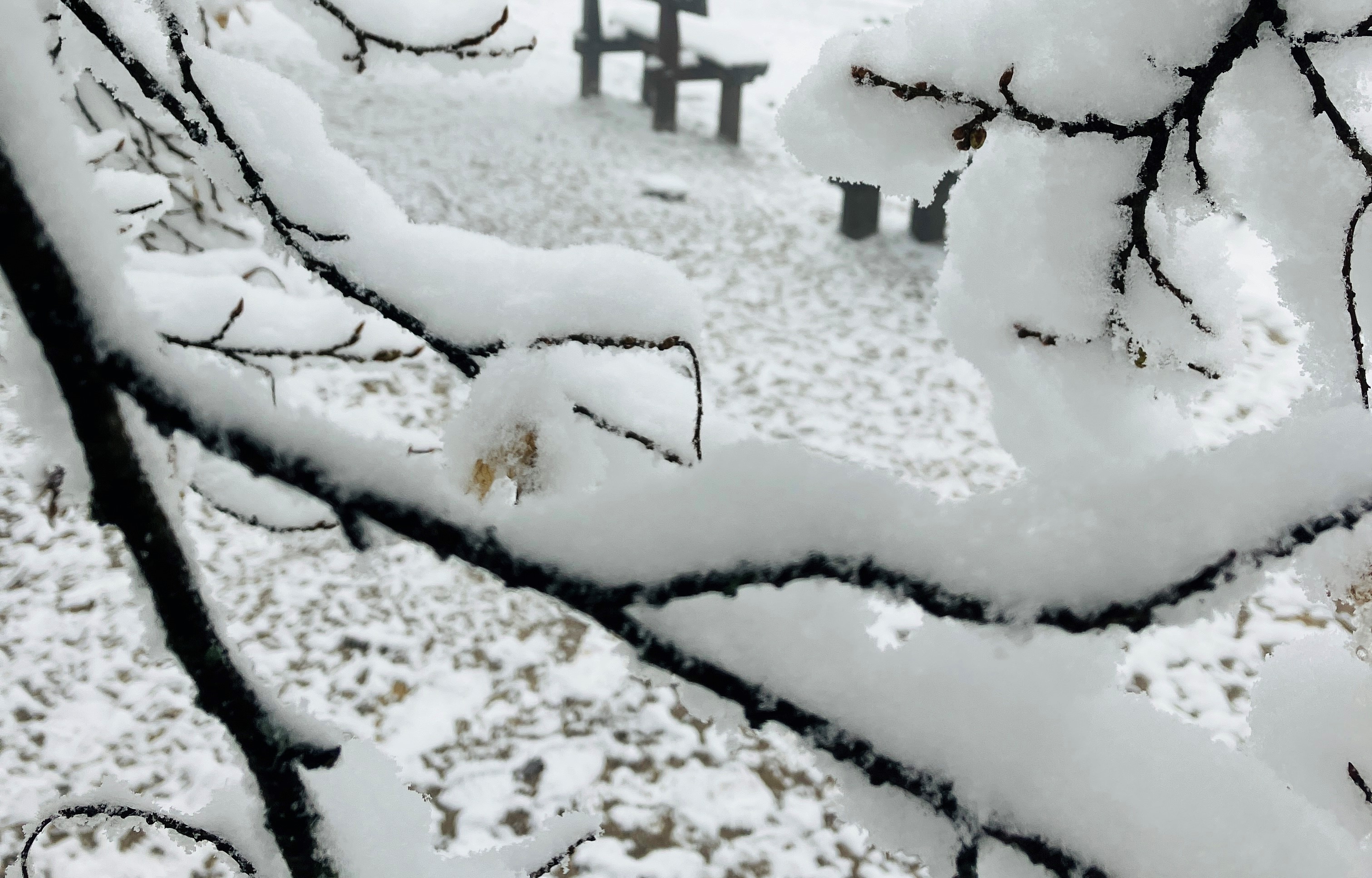 Normális ez? Az ország keleti részén hóvihar tombol és fehér lepel borítja a tájat – fotók