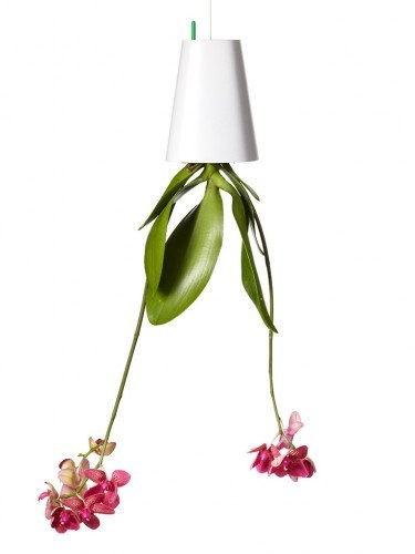Sky Planter