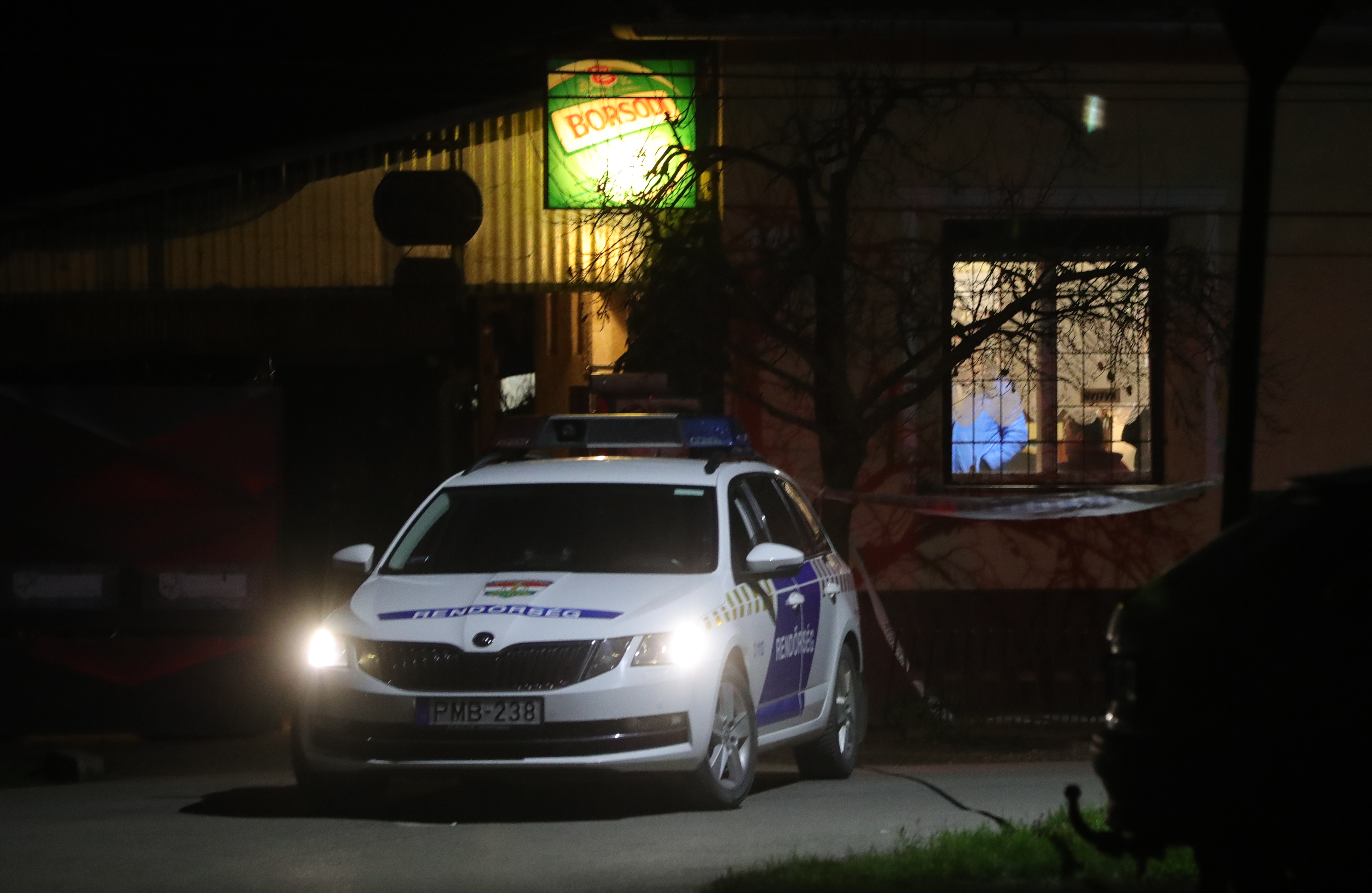 Egy nő baltával dobta fejen a férfit, aki az ellopott mobiltelefonját követelte vissza