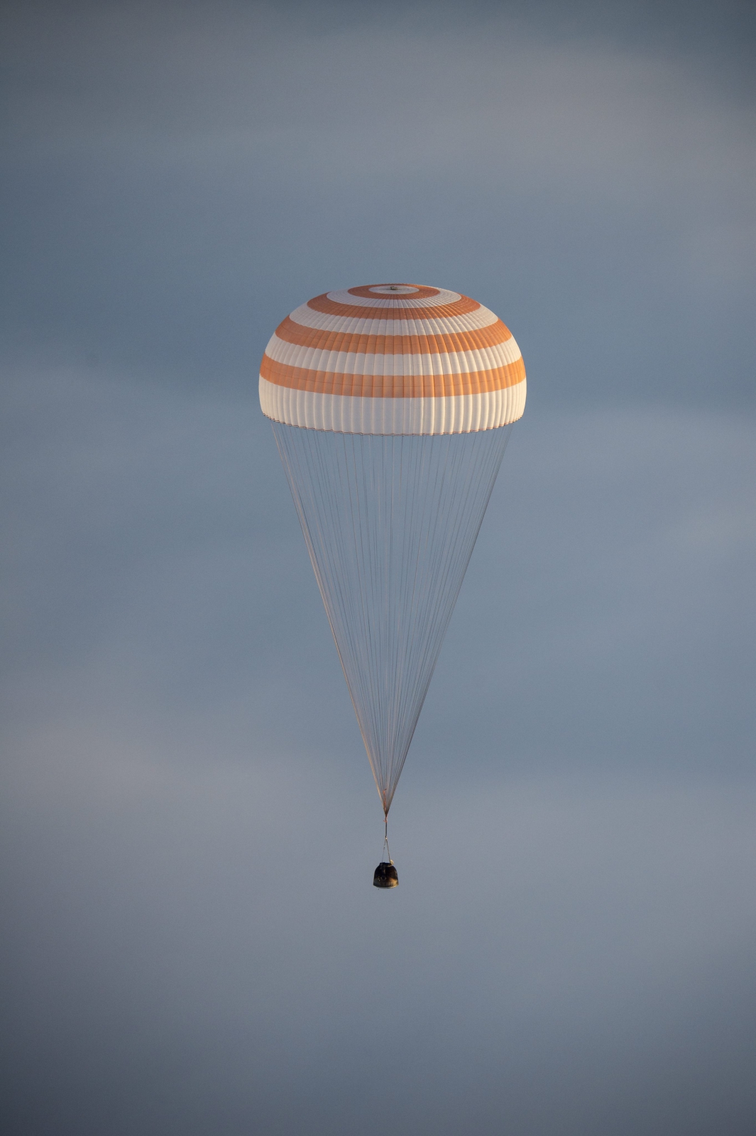 Podczas misji astronauci wzięli udział w licznych eksperymentach dotyczących żywych komórek, obserwacji Ziemi czy życia w kosmosie...