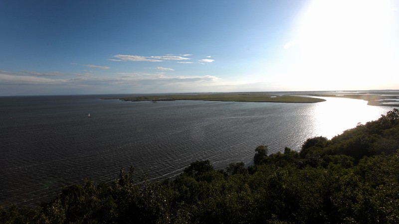 Zalew Szczeciński skażony. Obowiązuje zakaz kąpieli - Wiadomości