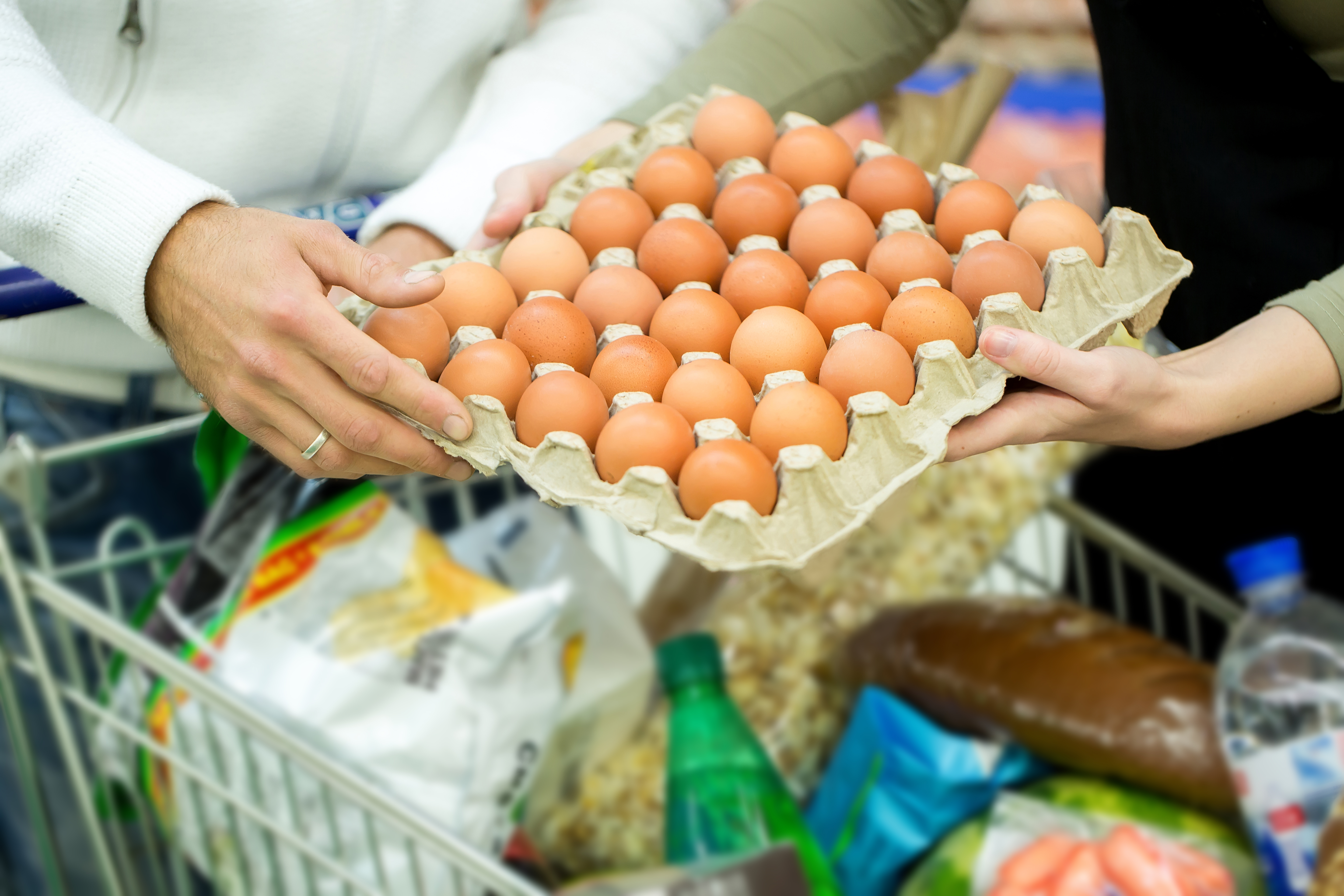 Az elkövetkező hónapokban 80 forint is lehet a tojás ára - Blikk