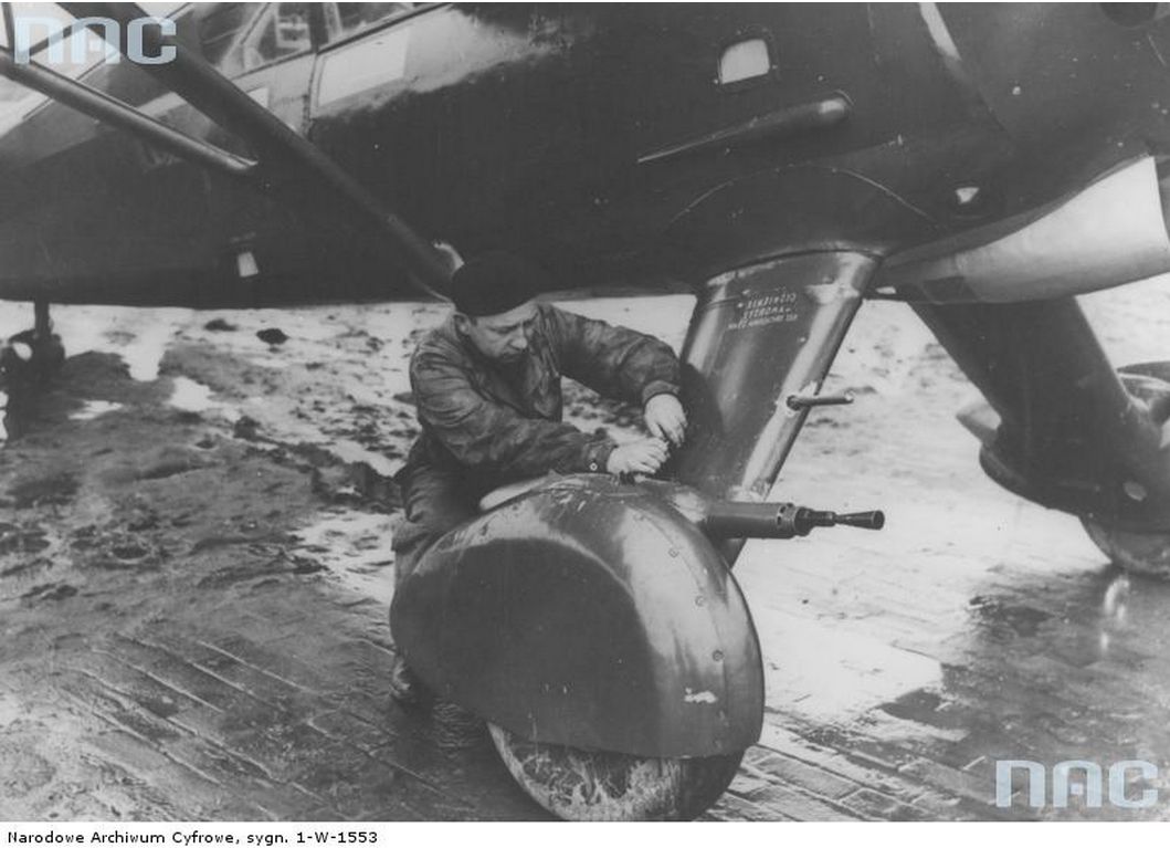 LWS-3