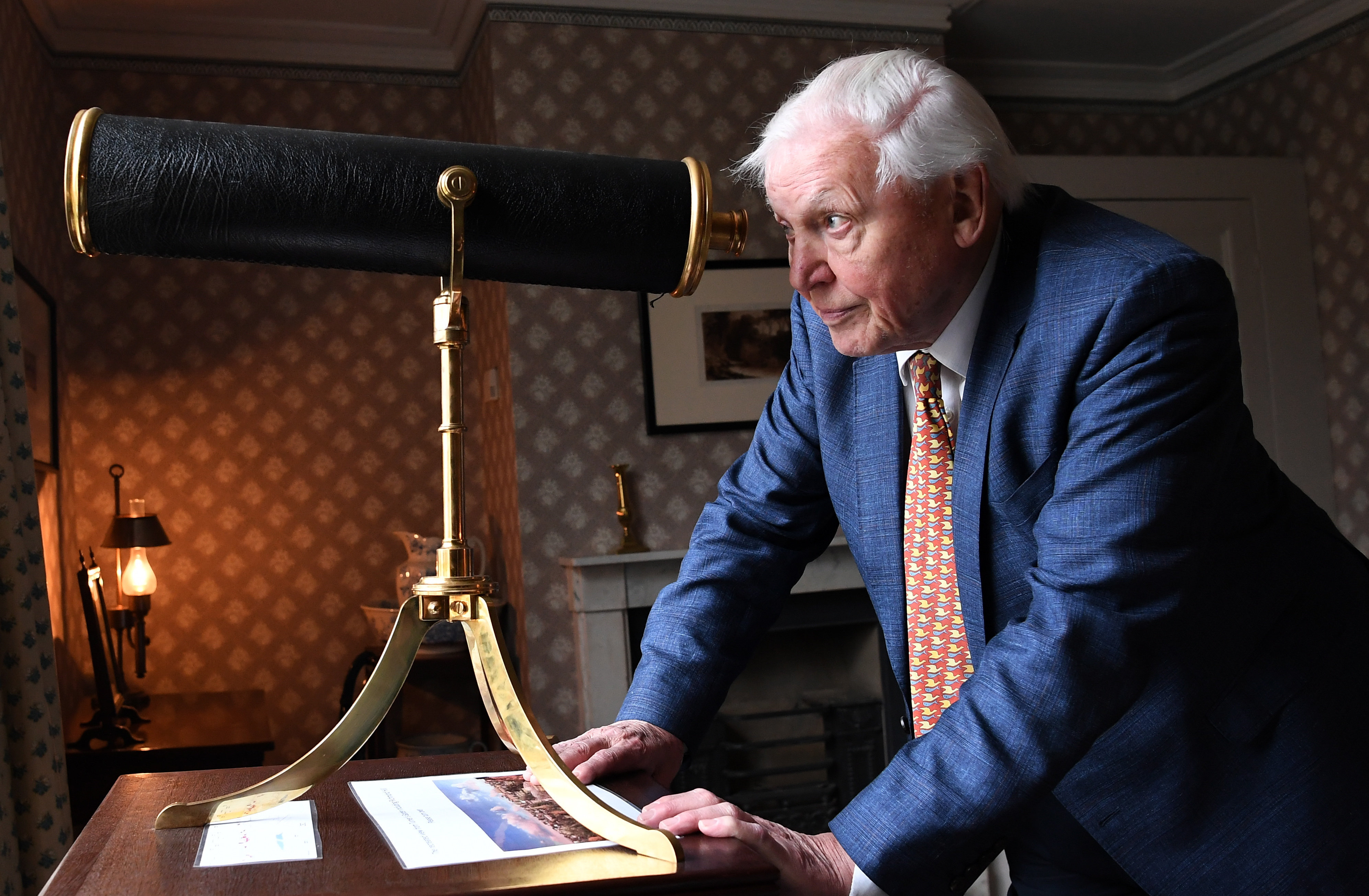 Egy nemzedék zokog: világrengető filmmel vonul vissza Sir David Attenborough – De vajon végleg?