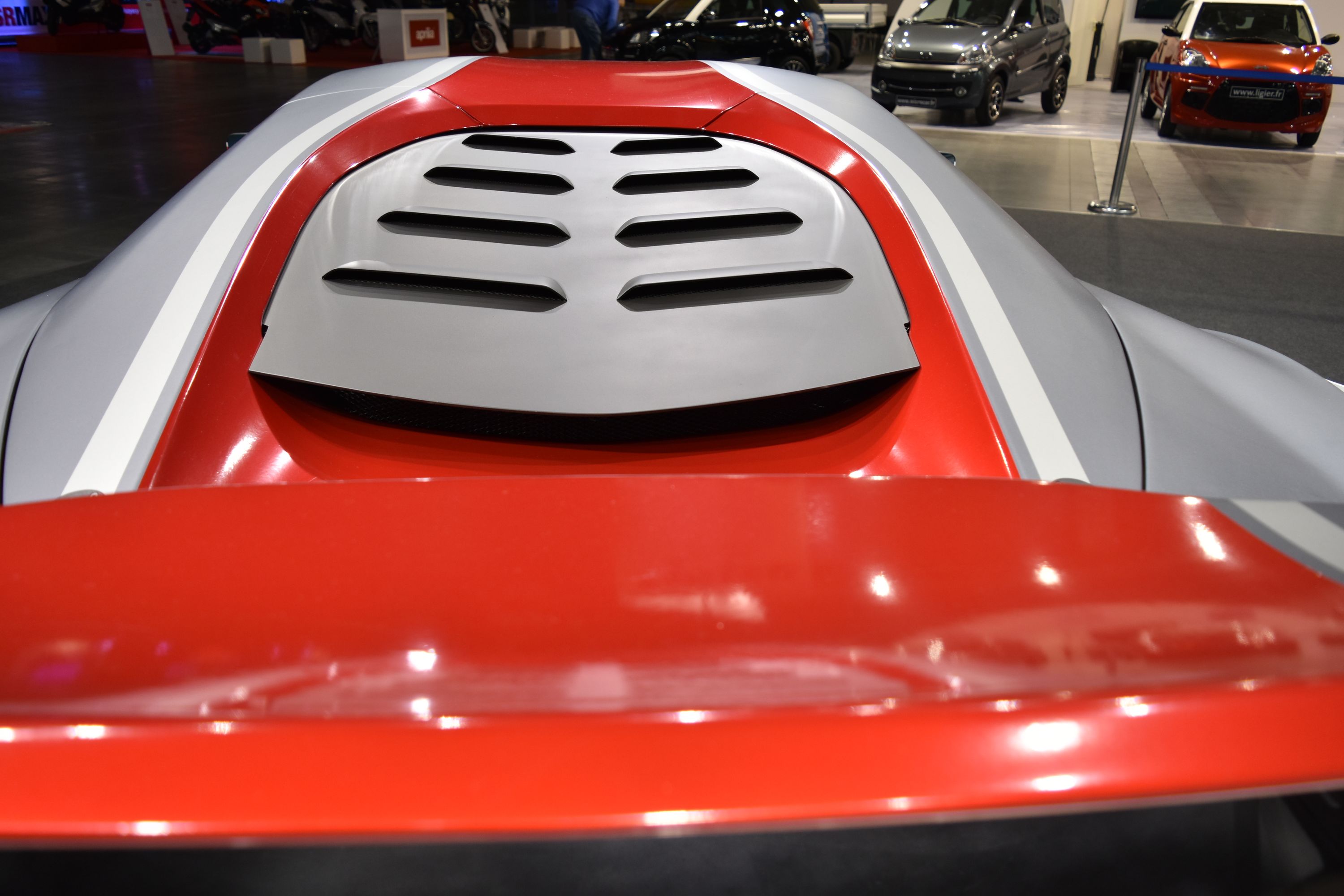 Arrinera hussarya