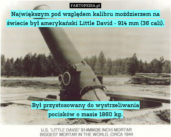 Little David