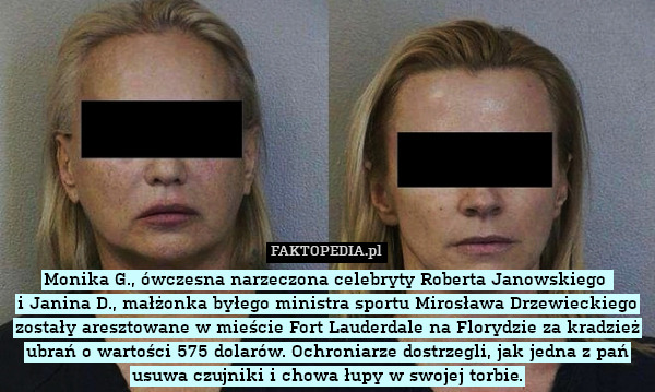 Stylowi złodzieje
