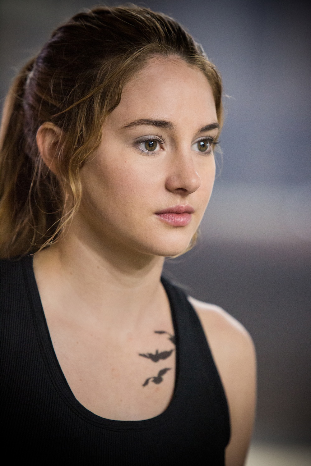Shailene Woodley jako