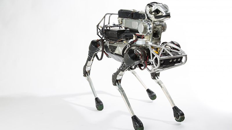 Psí robot od Boston Dynamics sa naučil otvoriť a podržať dvere