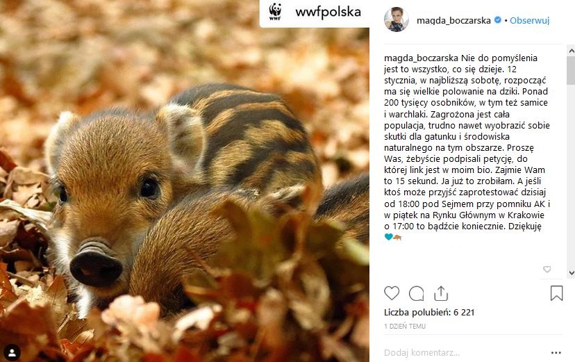 Magdalena Boczarska: Nie do pomyślenia jest to wszystko, co się dzieje. 12 stycznia, w najbliższą sobotę, rozpocząć ma się wielkie polowanie na dziki. Ponad 200 tysięcy osobników, w tym też samice i warchlaki. Zagrożona jest cała populacja, trudno nawet wyobrazić sobie skutki dla gatunku i środowiska naturalnego na tym obszarze. Proszę Was, żebyście podpisali petycję, do której link jest w moim bio. Zajmie Wam to 15 sekund. Ja już to zrobiłam. A jeśli ktoś może przyjść zaprotestować dzisiaj od 18:00 pod Sejmem przy pomniku AK i w piątek na Rynku Głównym w Krakowie o 17:00 to bądźcie koniecznie. Dziękuję