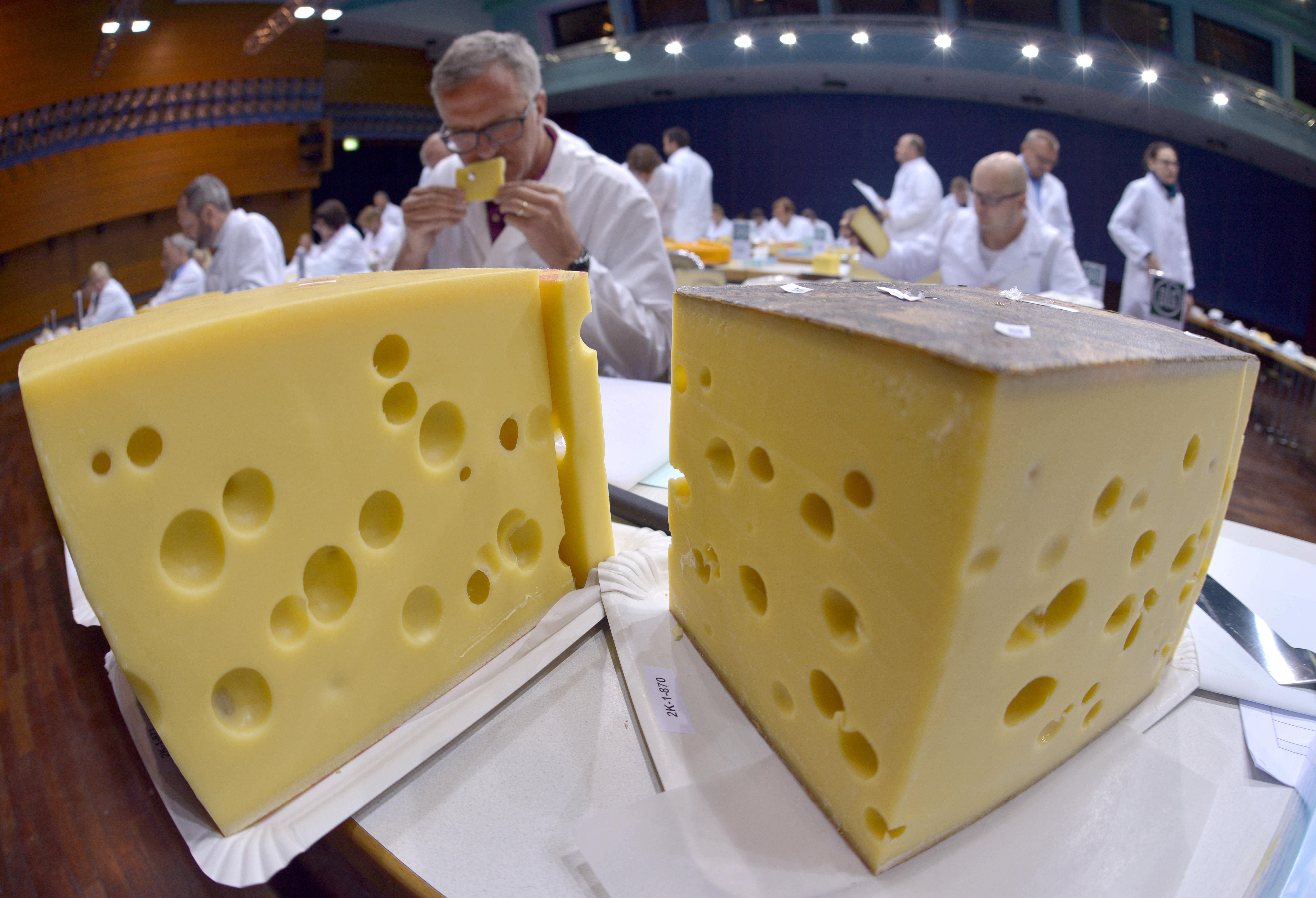 Europe's Largest Cheese Tasting