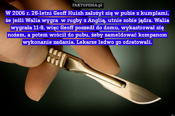 Męskie zakłady