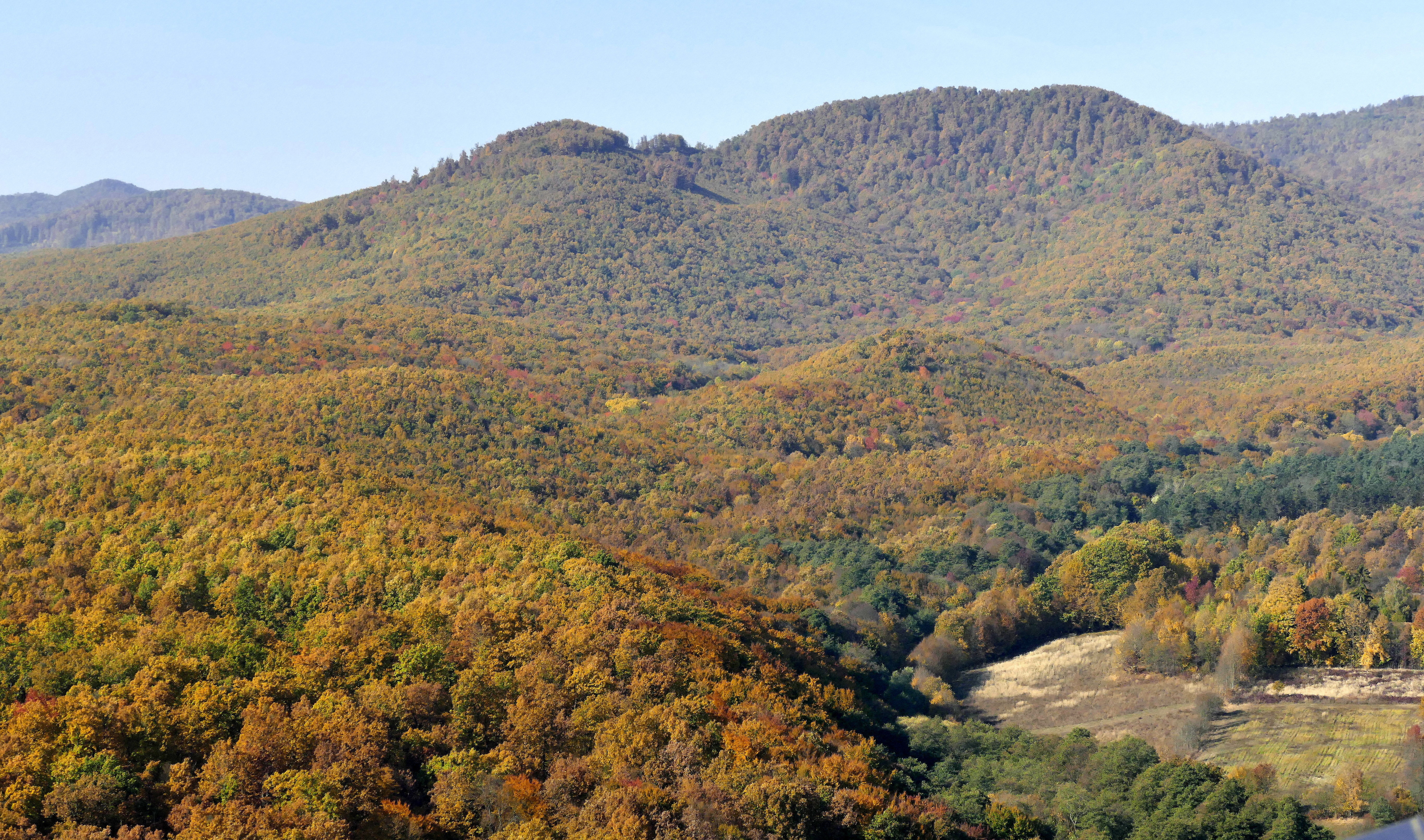 A börzsönyi aranybánya megálmodója azt állítja, hogy megmérgezték