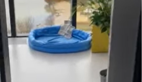 Ismét beázott a Mol új felhőkarcolója: felfújható kék gyerekmedencékben gyűjtik a vizet – videó