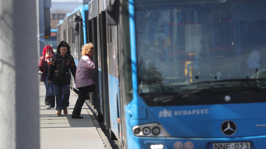 cukorbeteg lehet buszsofőr)