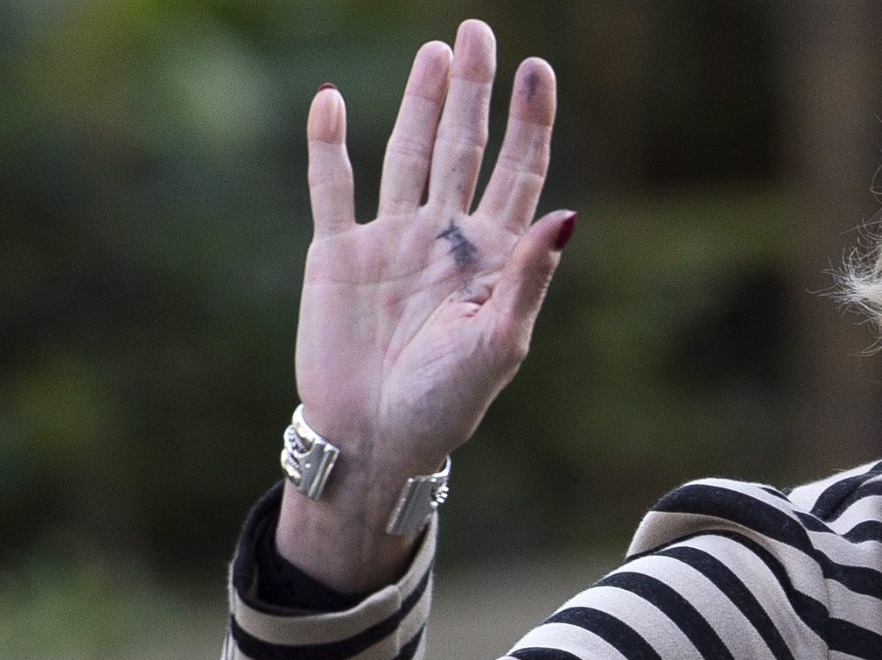 Dłoń Anny Soubry