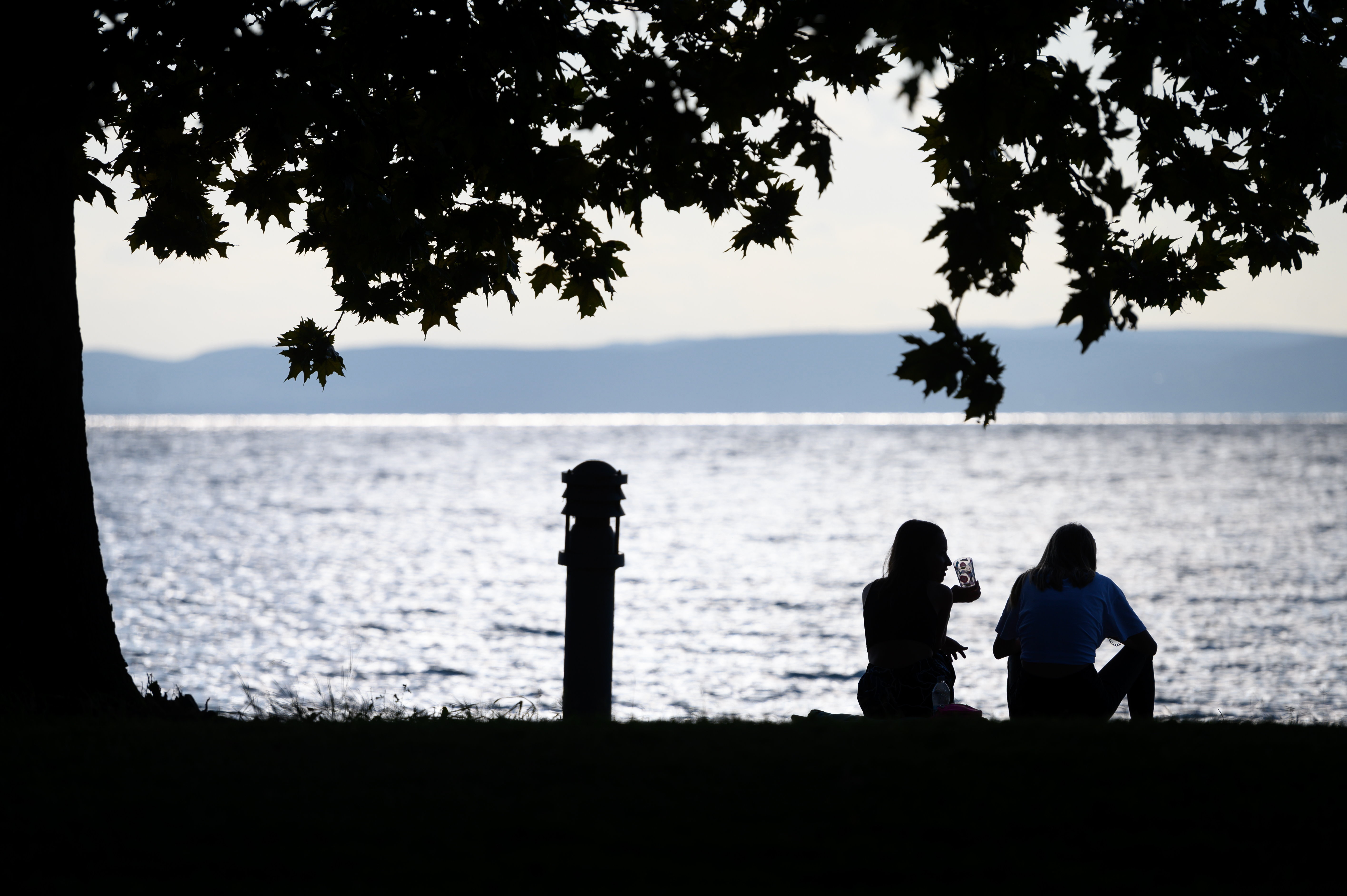 Megcsonkították a Balaton egyik ikonikus fűzfáját – fotók