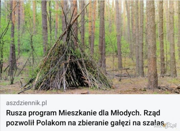 Chrust, benzyna i alergia, czyli tydzień w memach. Daj się rozbawić! - Kobieta