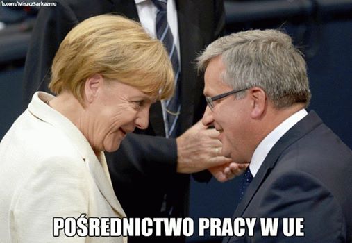 mem / Miszcz sarkazmu