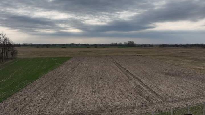 Megvan a mezőgazdaság jövője: zéró taposási kár, vízmegtakarítás, több terméshozam - Ez mindenkit érint!