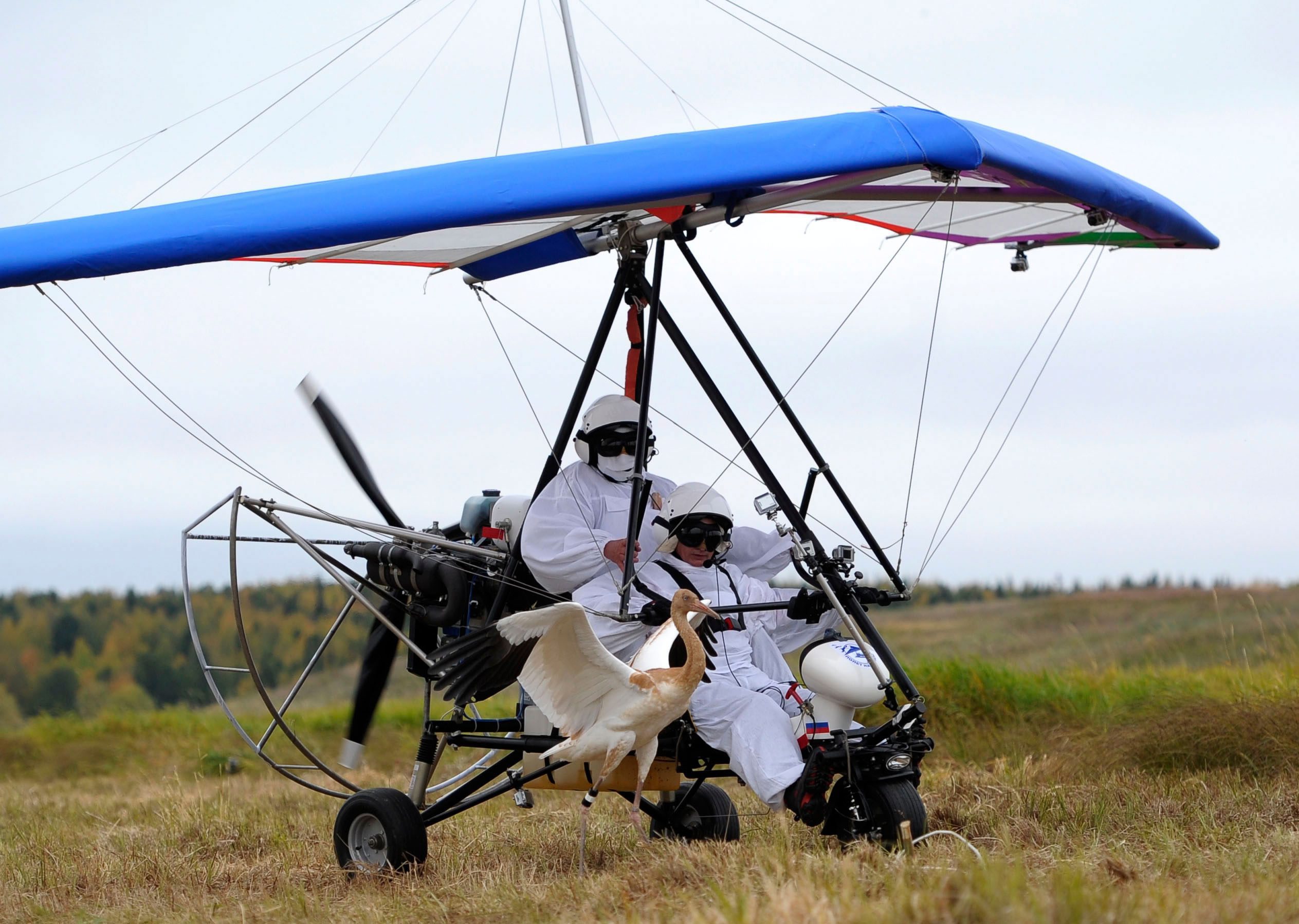 Putin nie leciał sam, towarzyszył mu doświadczony pilot