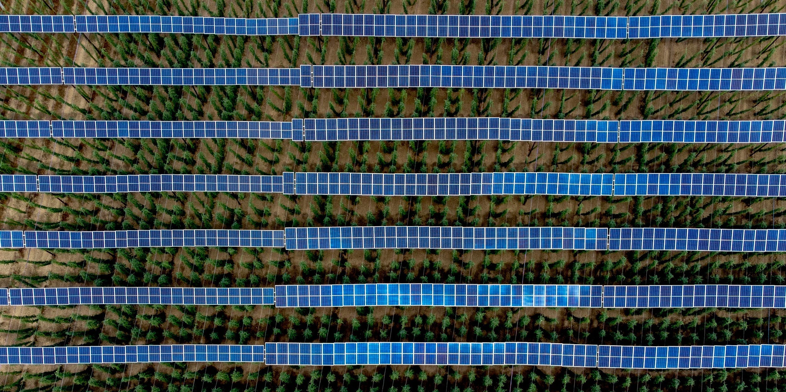 Solar panels are mounted on poles above a hops field as Morocco secures financing and signed power deals for six new plants under the 305MW Noor Atlas programme, with electricity expected to reach the grid by 2027.Matthias Schrader/AP Photo