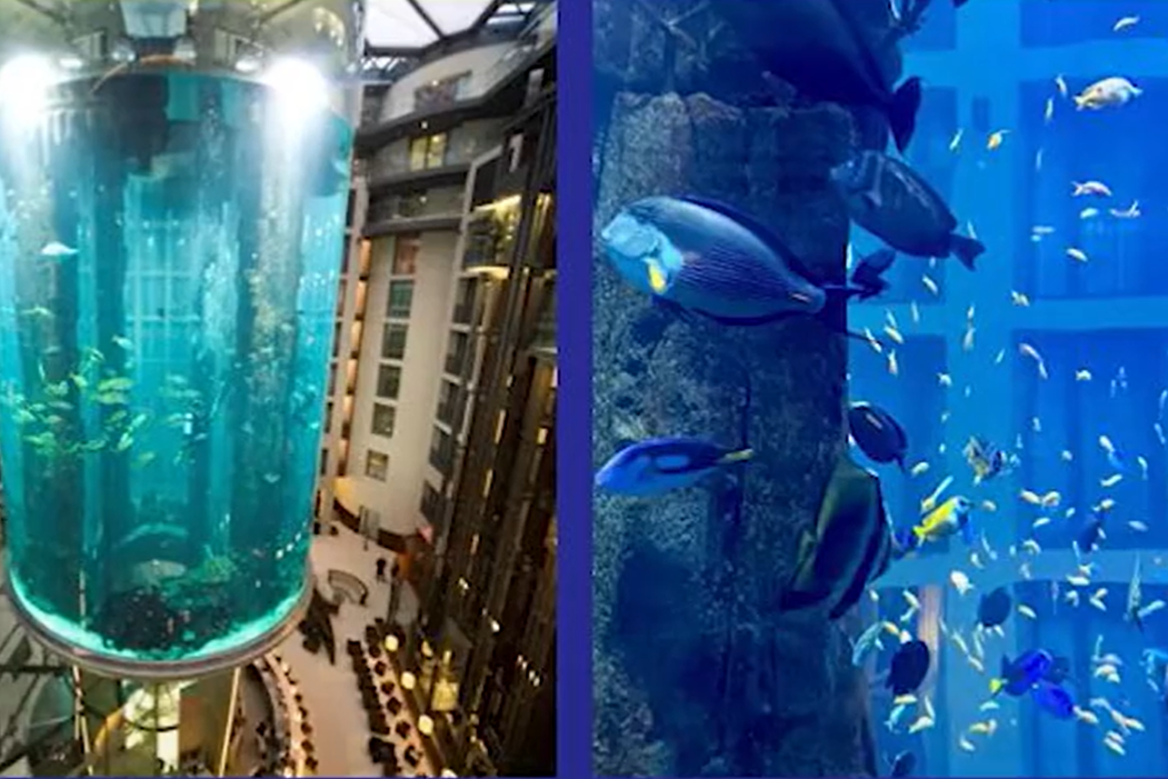 Berlin. Pękło największe akwarium świata. Pływało w nim 1,5 tys. ryb - Noizz